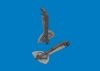 Eduard 632214 Bf 109G undercarriage legs PRINT for REVELL 1/32